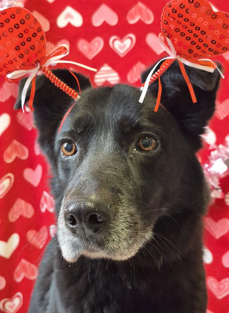 Tweedle Dee thumbnail 2