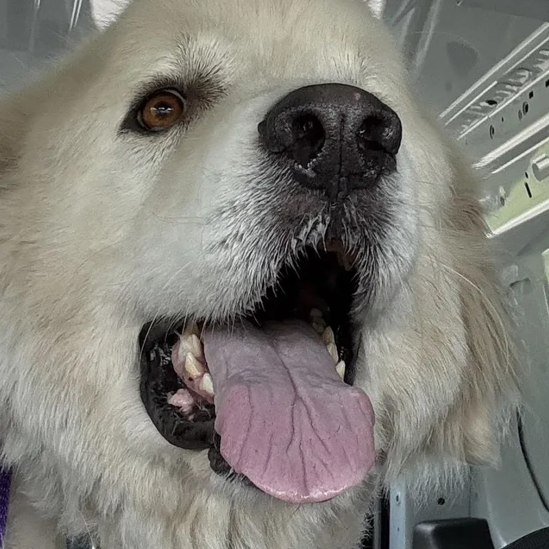 Finnerty thumbnail 3