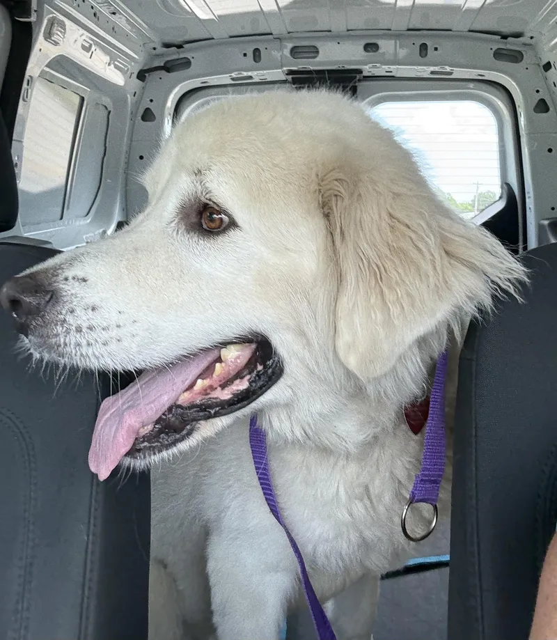 Finnerty thumbnail 6