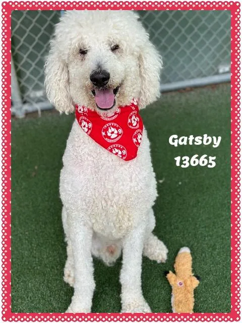 Gatsby thumbnail 2