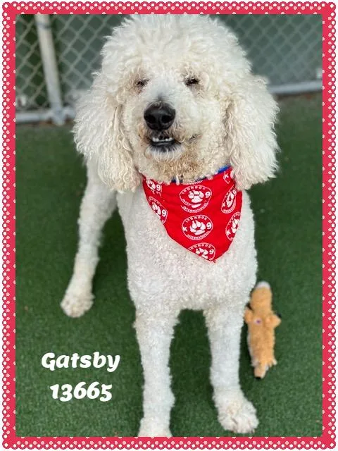 Gatsby thumbnail 3