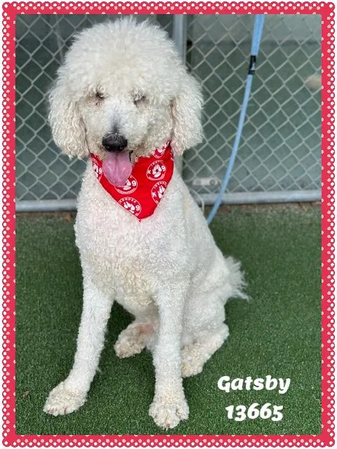 Gatsby thumbnail 4