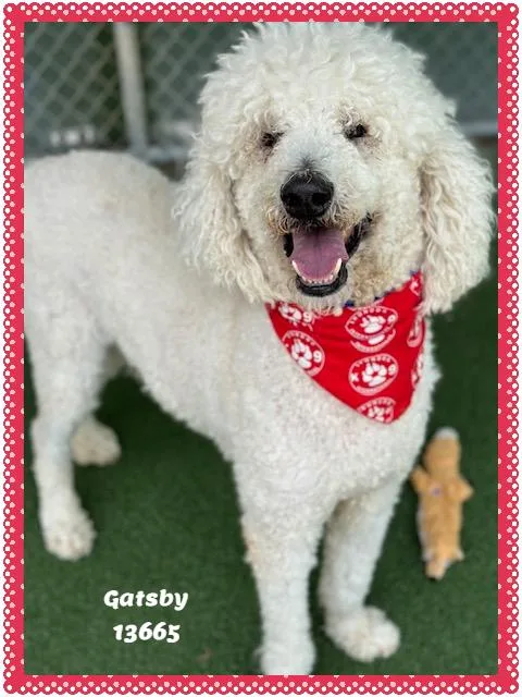 Gatsby thumbnail 6