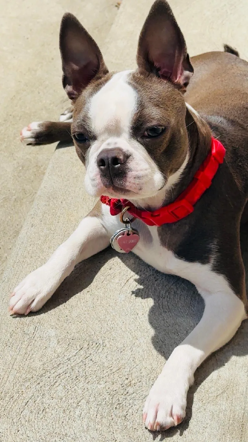 Lucy In Mo thumbnail 2