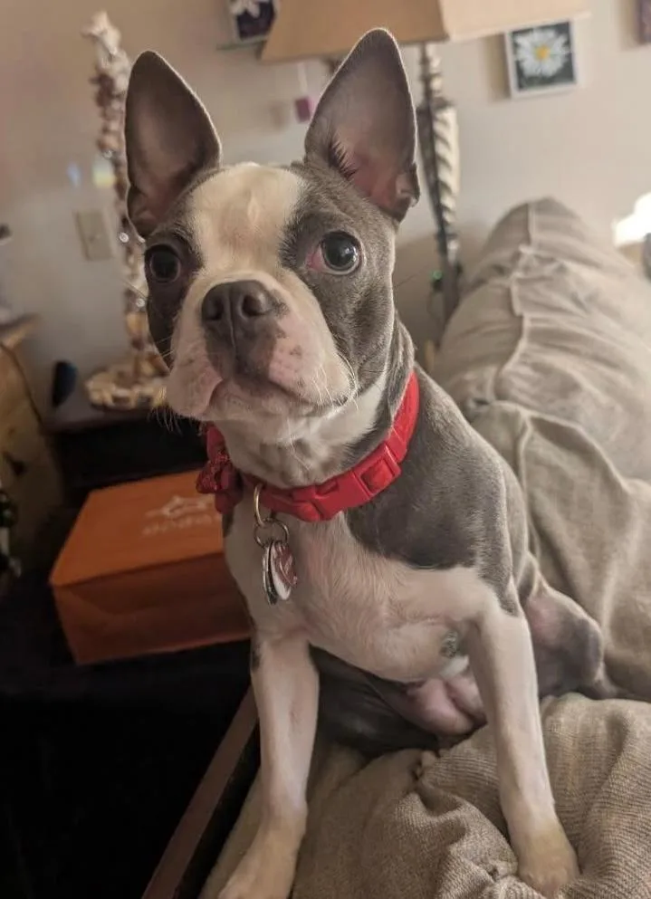Lucy In Mo thumbnail 3