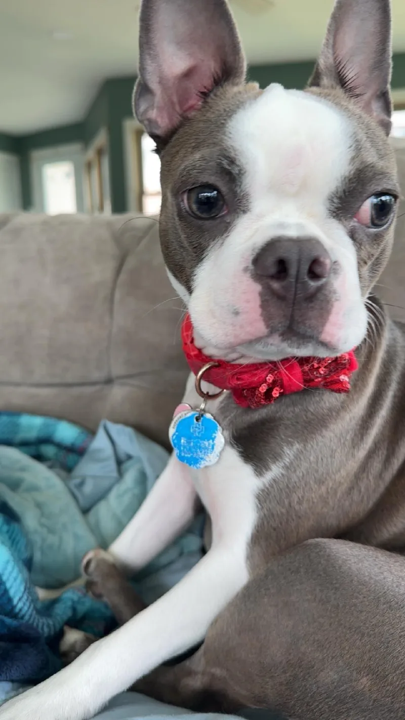 Lucy In Mo thumbnail 5