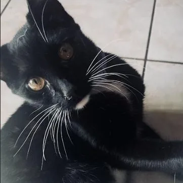 Cleo Aka Love thumbnail 2