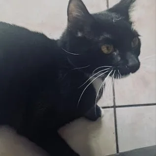 Cleo Aka Love thumbnail 3