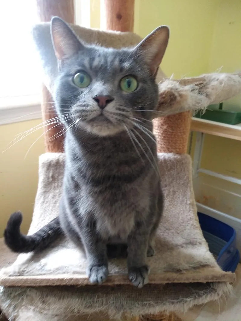 Branson & J.j. Rich thumbnail 4