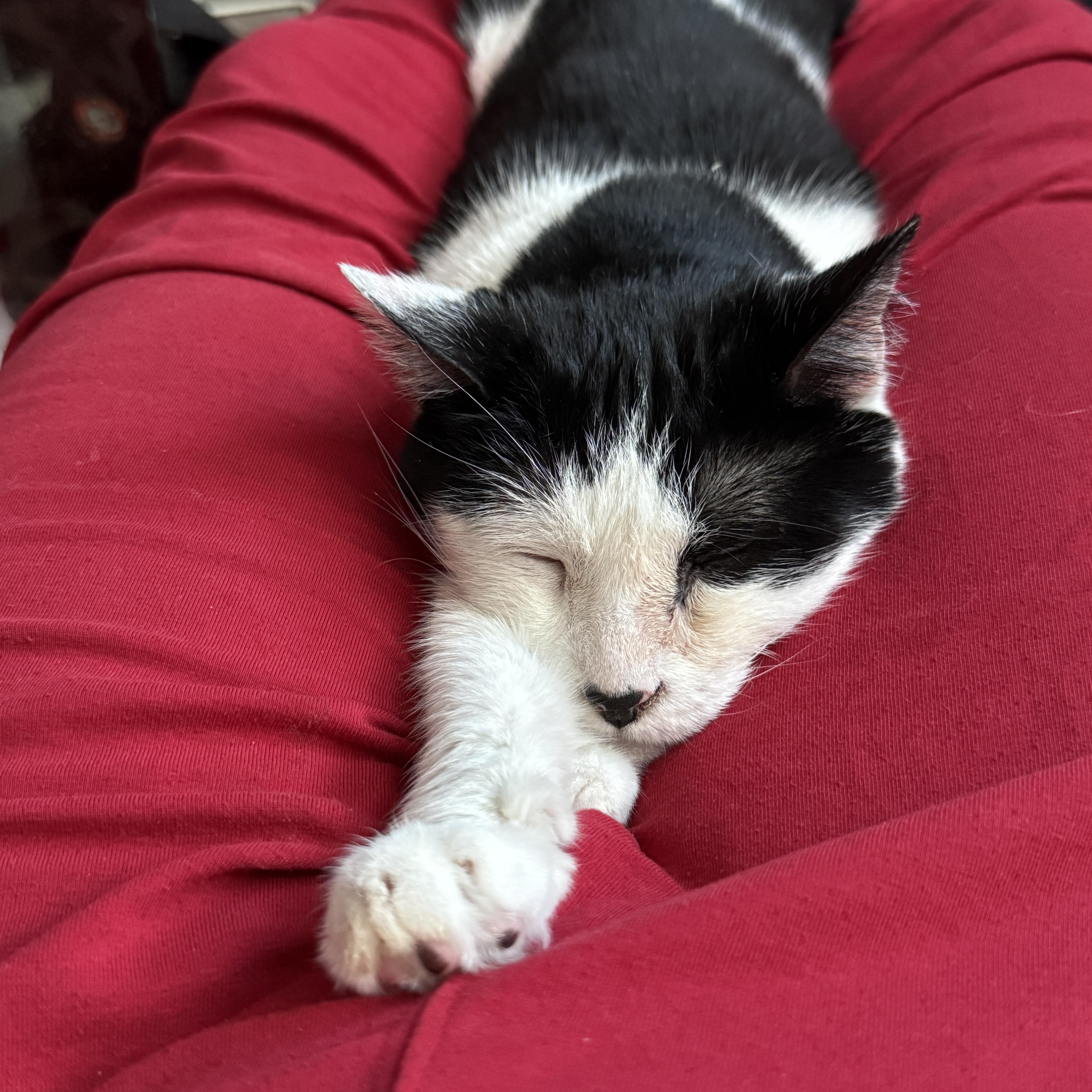 Lovely Lotti  Lost thumbnail 5