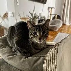 Zz Courtest Listing For thumbnail 2