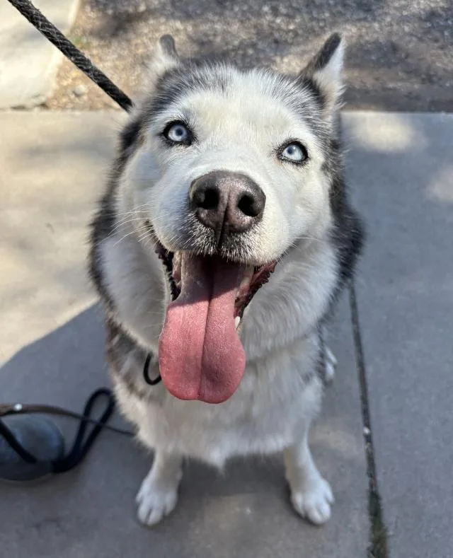 Mia