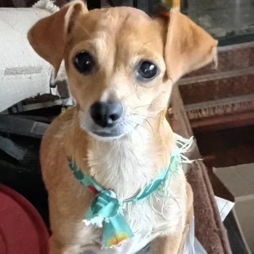 Lola