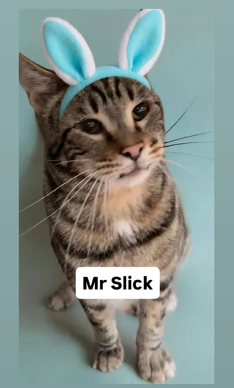 Mr Slick Martinez thumbnail 2