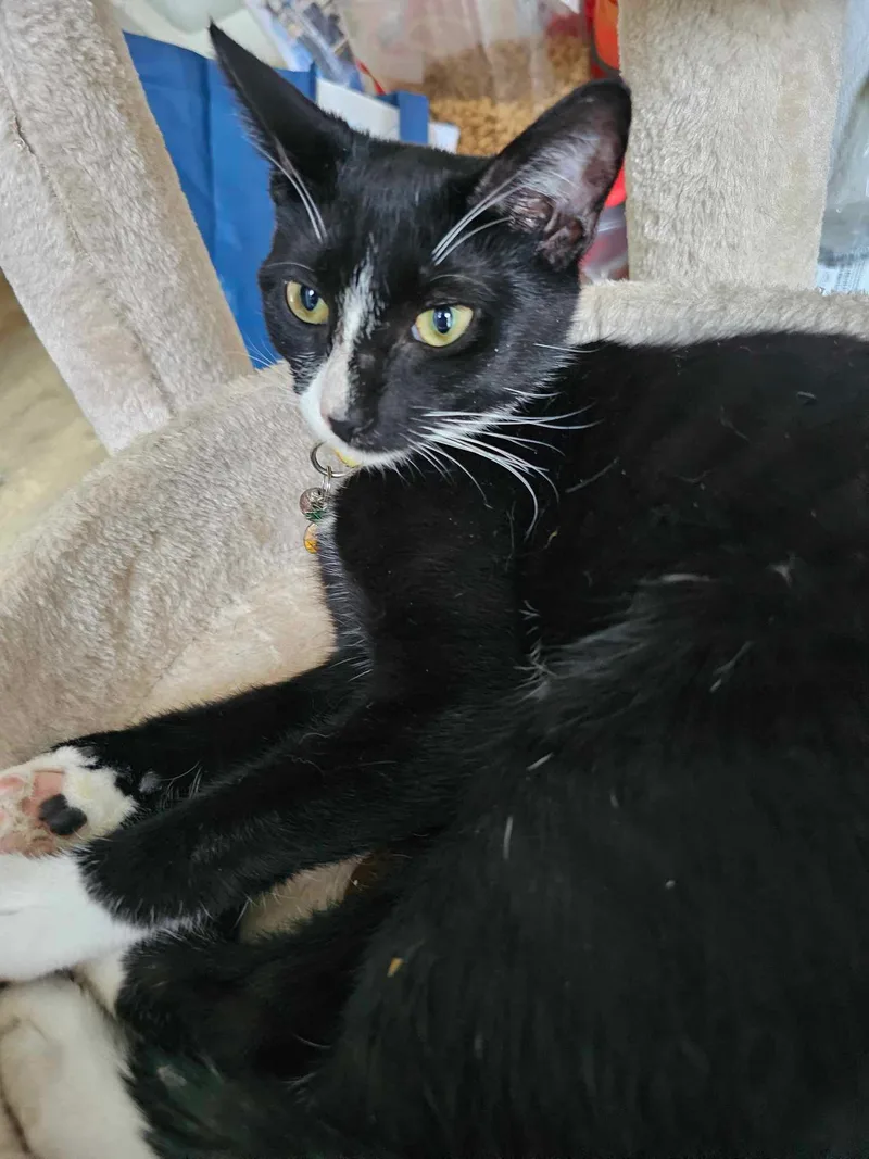 Lisamarie thumbnail 2