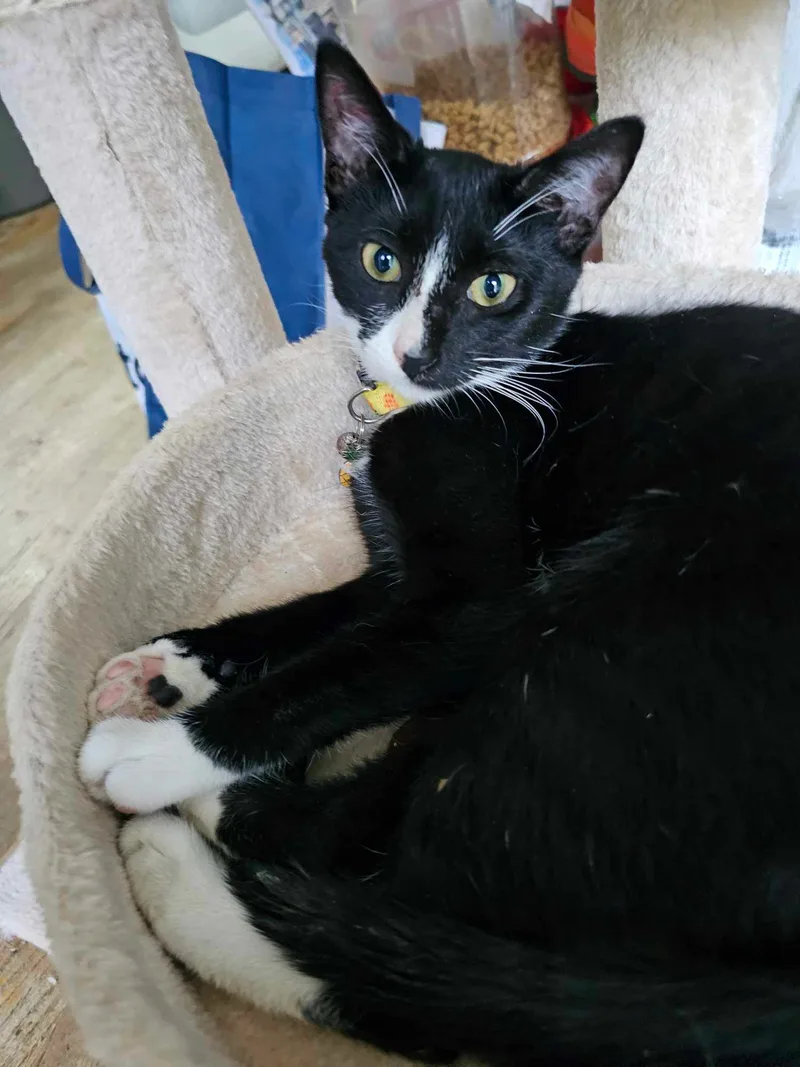 Lisamarie thumbnail 4