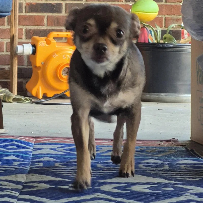 Coco
