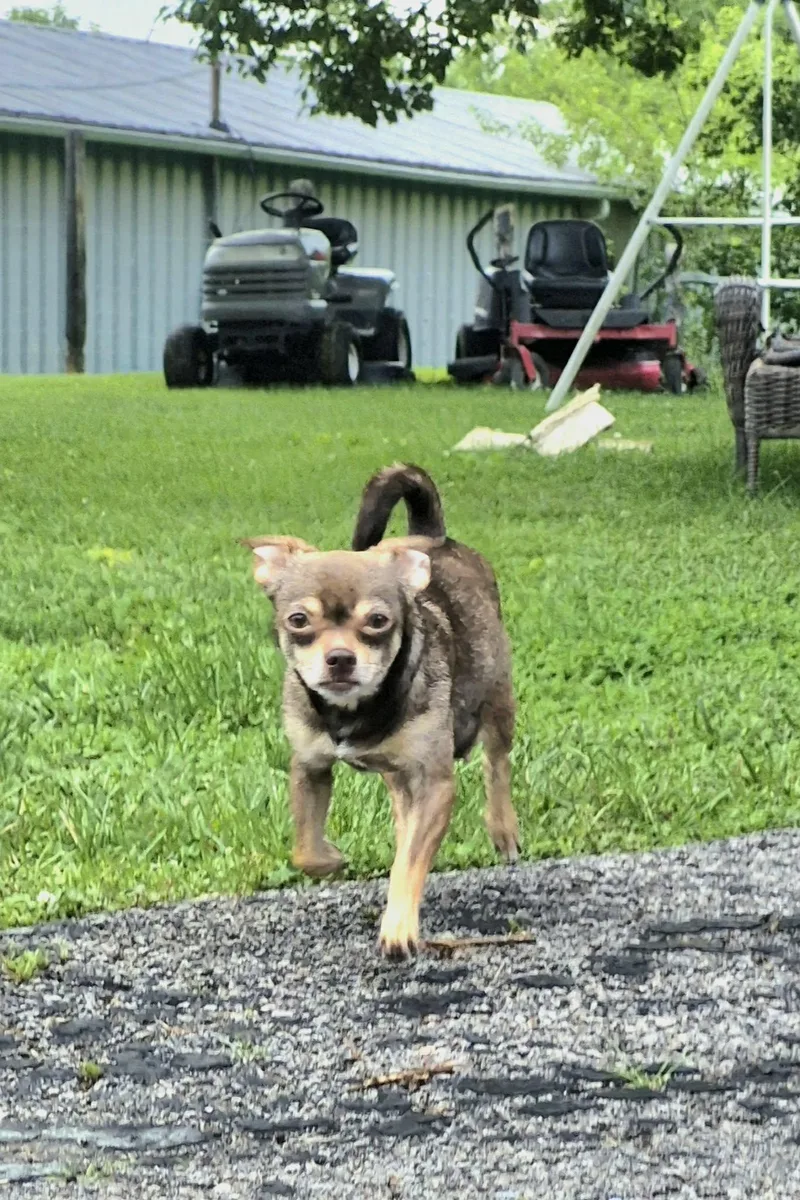 Coco thumbnail 4