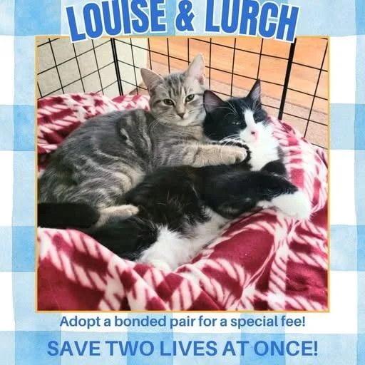 Louise thumbnail 2