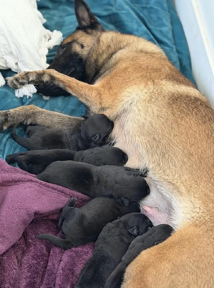 Lila Justice Located In thumbnail 2