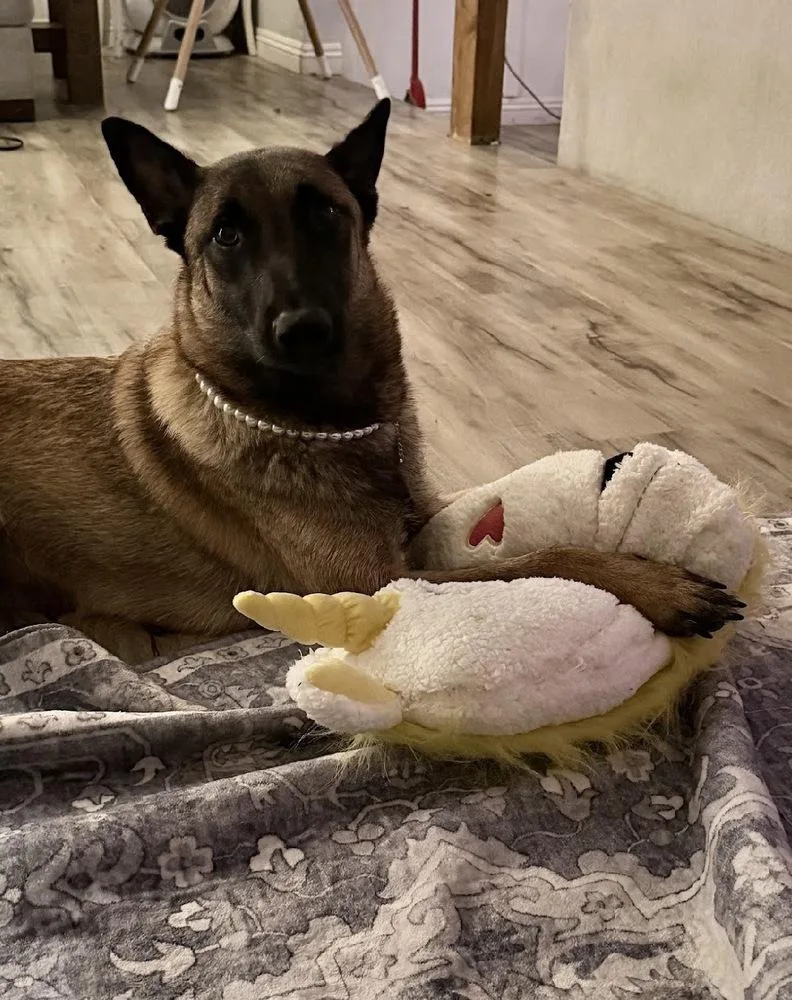 Lila Justice Located In thumbnail 3