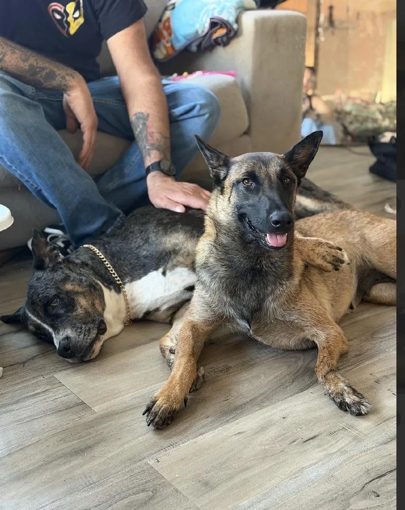 Lila Justice Located In thumbnail 4