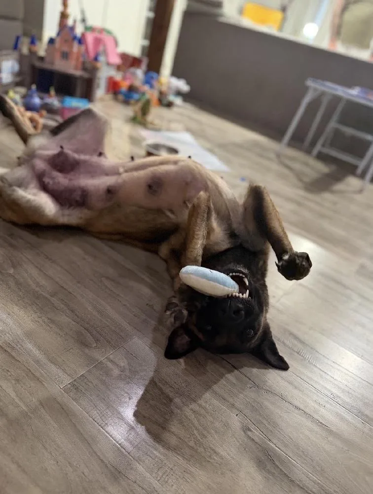 Lila Justice Located In thumbnail 5