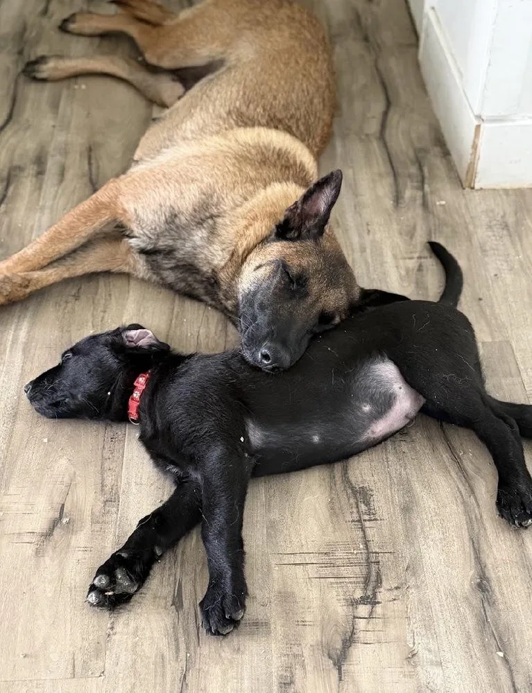 Lila Justice Located In thumbnail 6