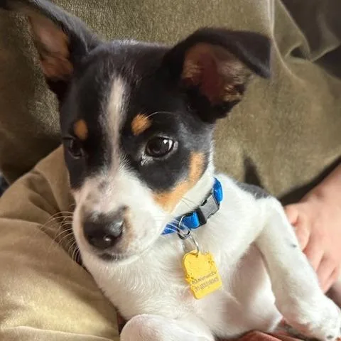 Bailey thumbnail 2
