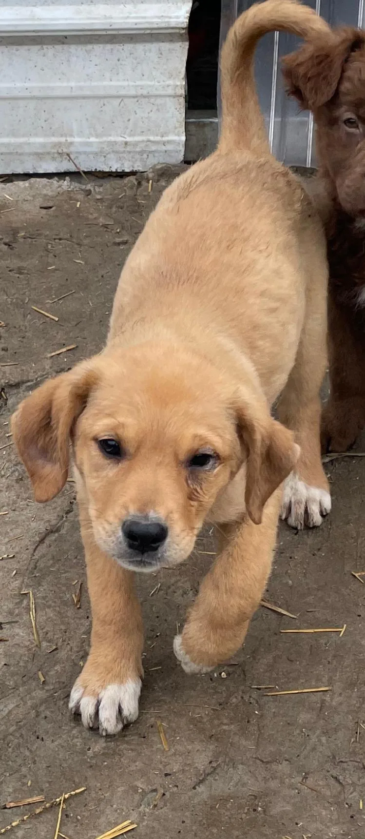 Elsa Excellent thumbnail 2