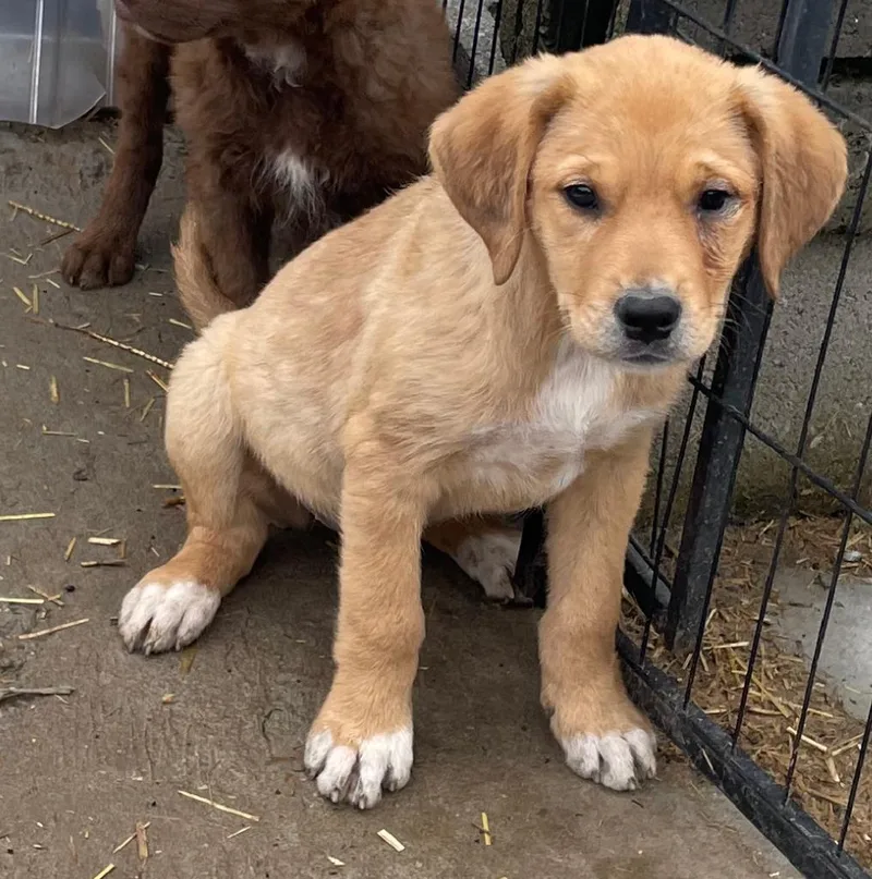 Elsa Excellent thumbnail 3