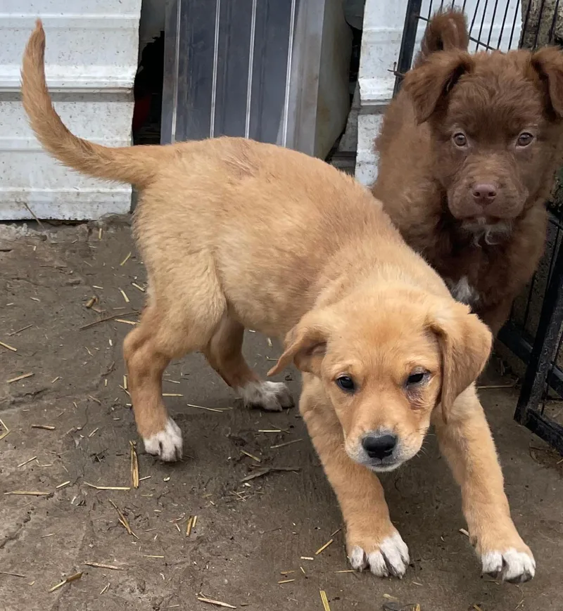 Elsa Excellent thumbnail 4