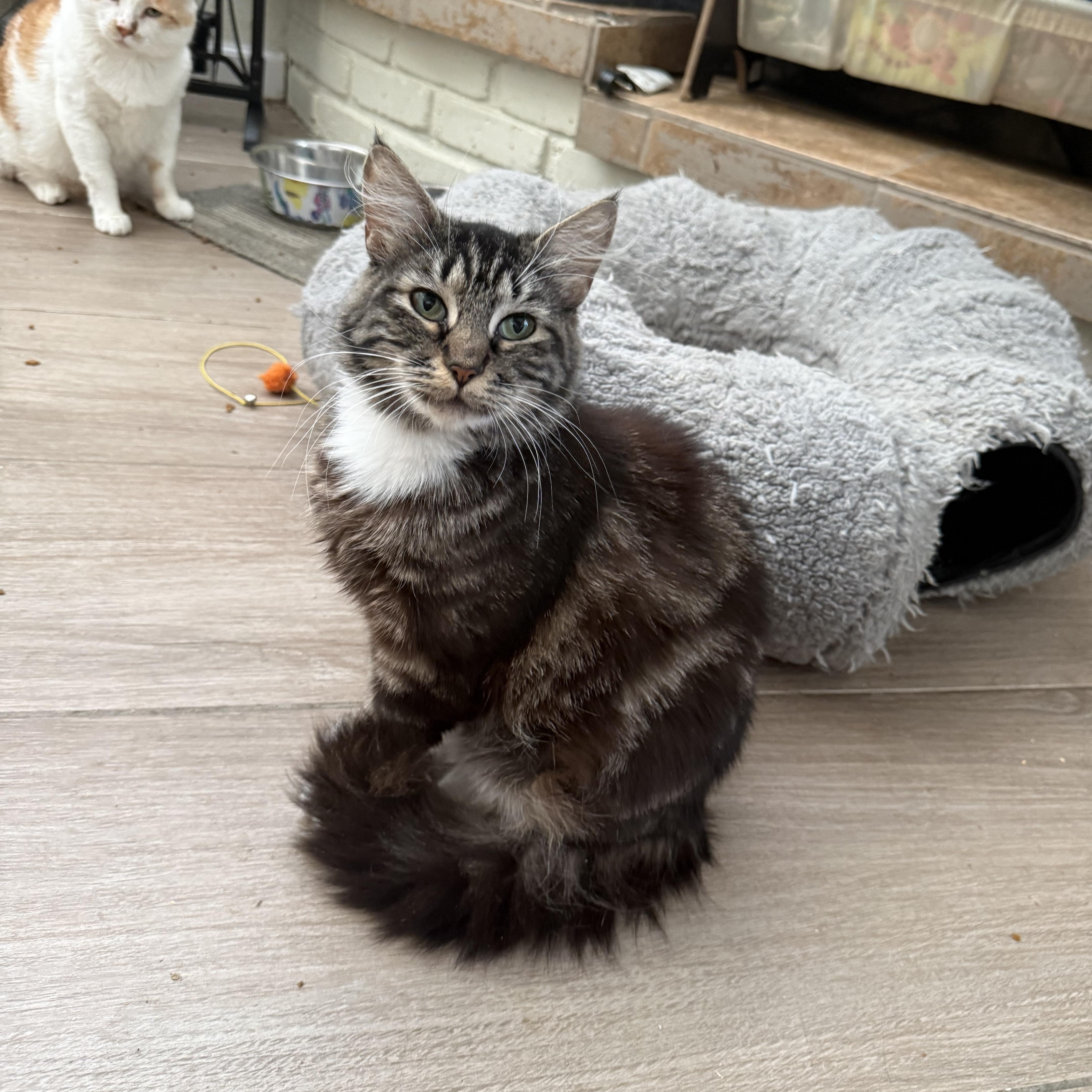 Boots with the Fur thumbnail 2