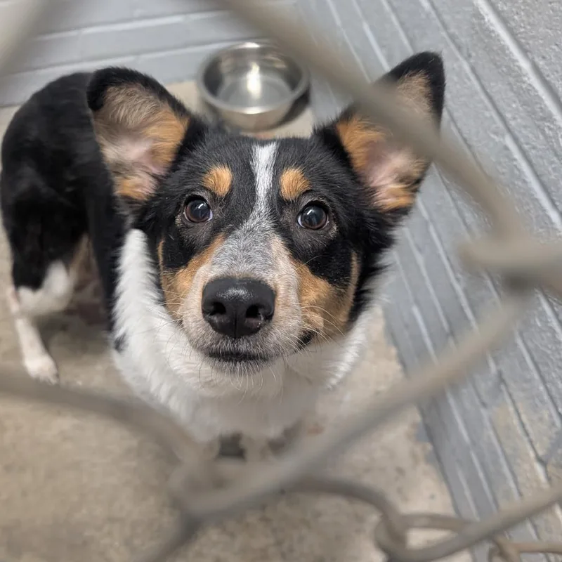 Harriet L thumbnail 3