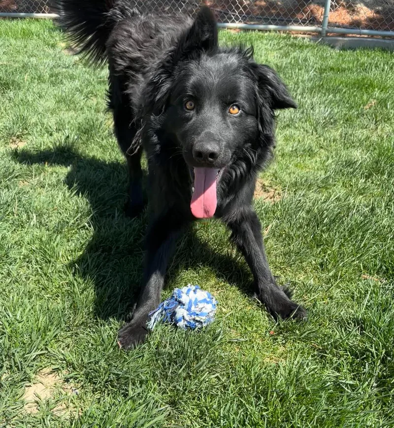 Milo