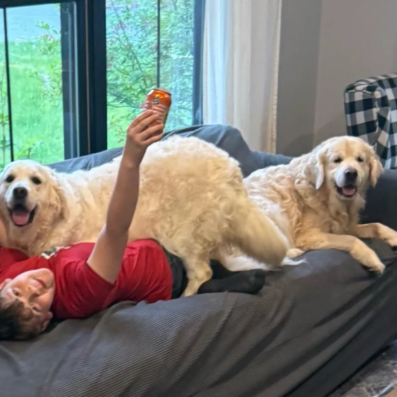 Baxter thumbnail 6