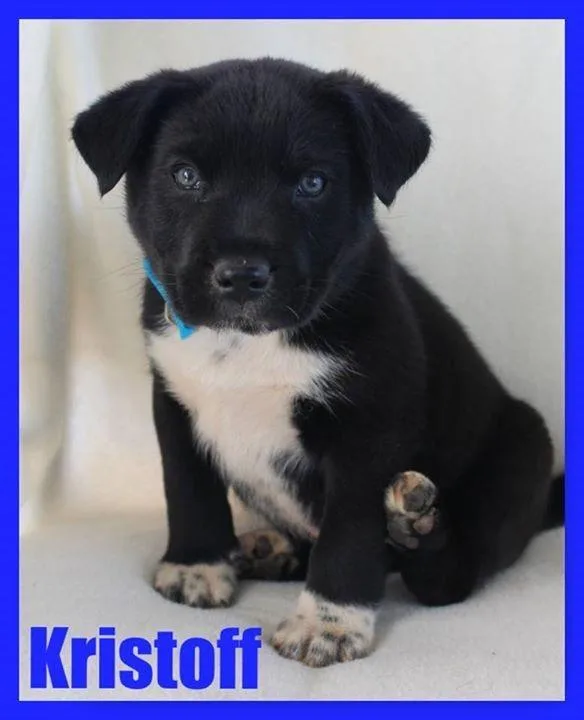 Kristoff thumbnail 3