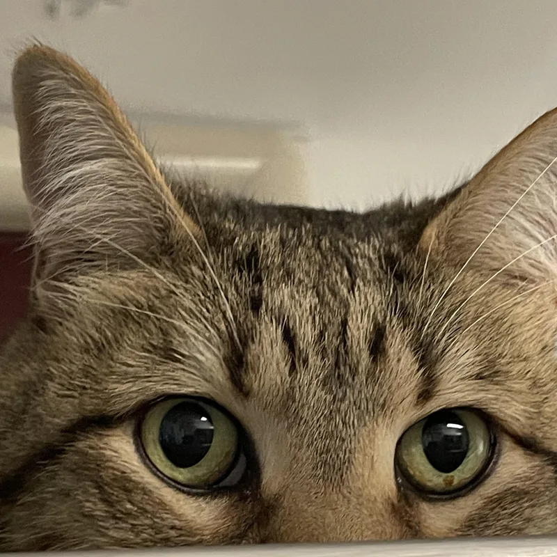 Sammy thumbnail 2