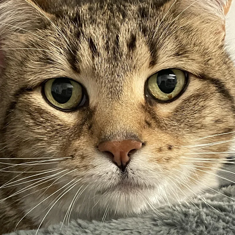 Sammy thumbnail 3