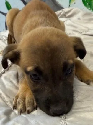 Penelope thumbnail 2