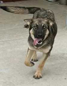 Cardi Bark thumbnail 2