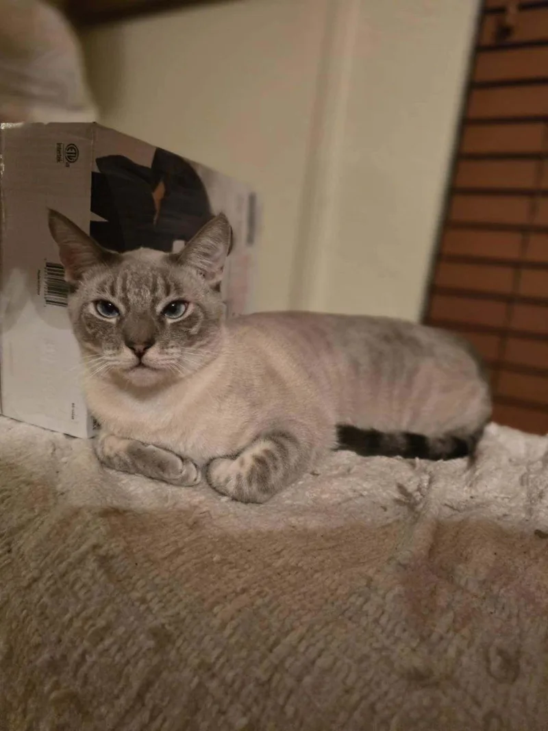 Goodyear And Hugo thumbnail 3