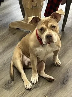 Cleopatra thumbnail 2