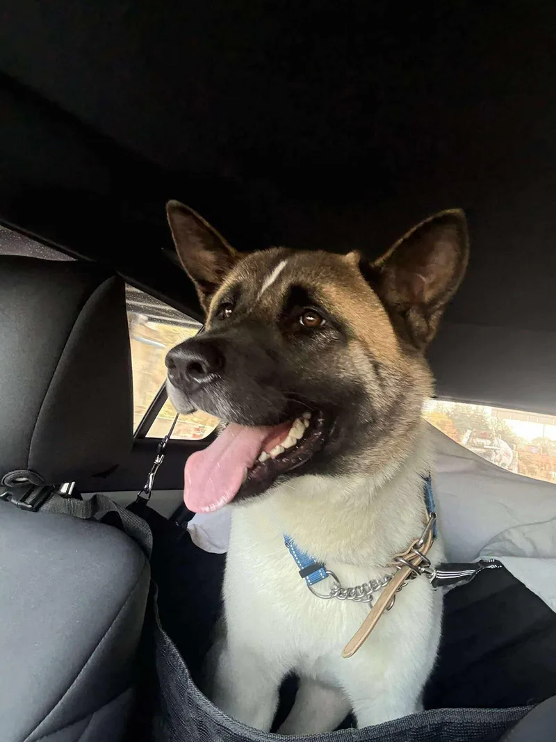 Mr Jack Sparrow thumbnail 3