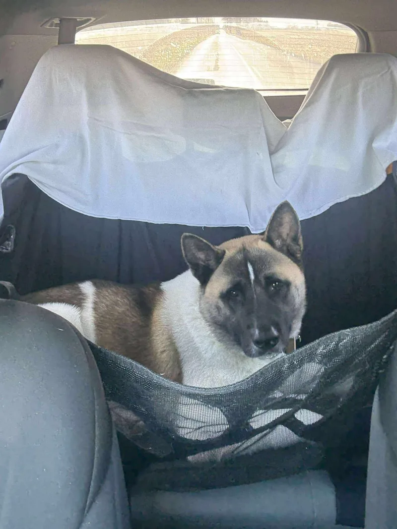 Mr Jack Sparrow thumbnail 4