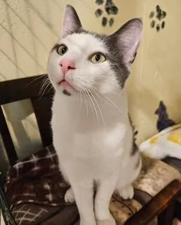 Sam