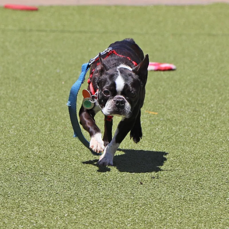 Maisy thumbnail 2