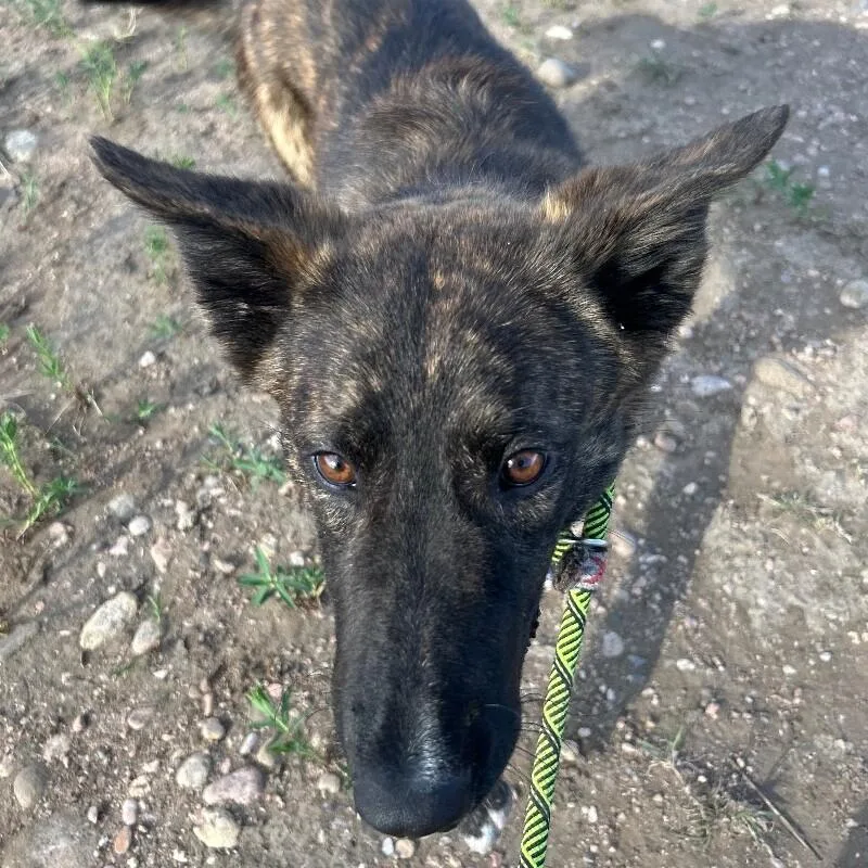 Cheese Whiz thumbnail 3