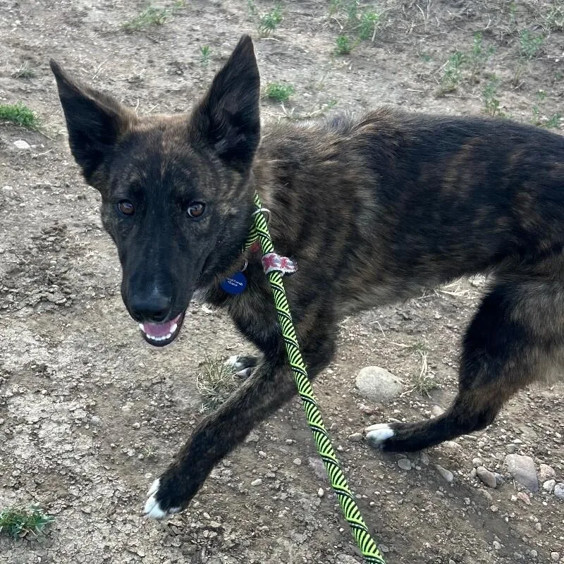 Cheese Whiz thumbnail 4