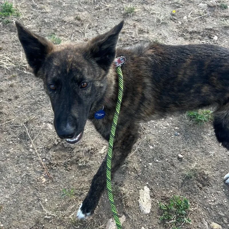 Cheese Whiz thumbnail 5